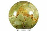 Gary Green Jasper (Larsonite) Bog Wood Sphere - Oregon #370912-1